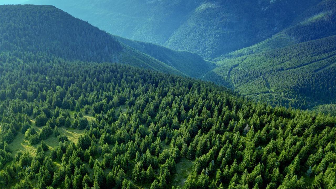 فندق Bouda Klinovka Špindlerŭv Mlýn المظهر الخارجي الصورة