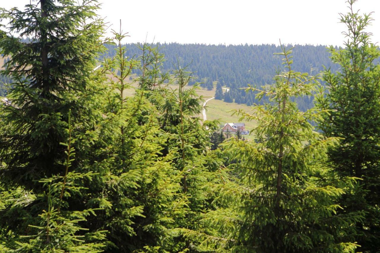 فندق Bouda Klinovka Špindlerŭv Mlýn المظهر الخارجي الصورة